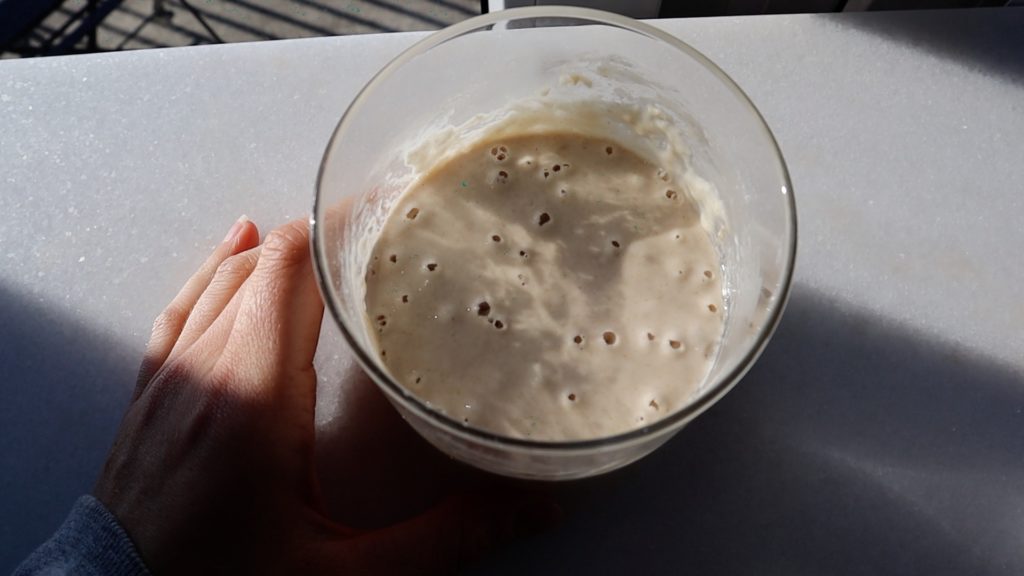 sourdough starter