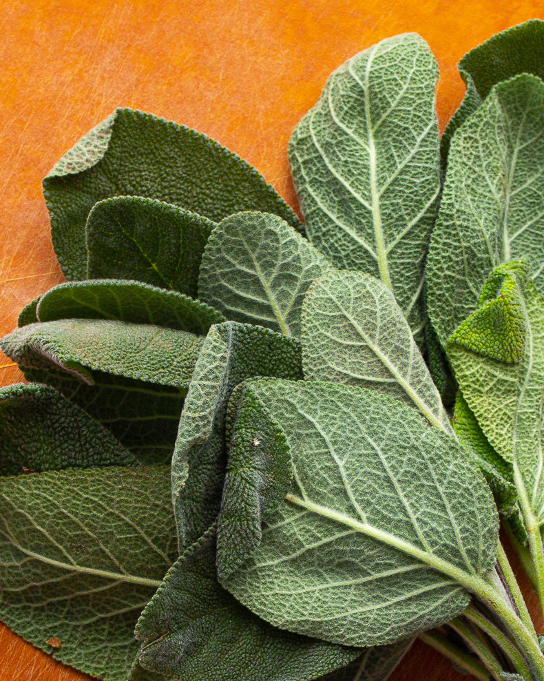 fresh sage