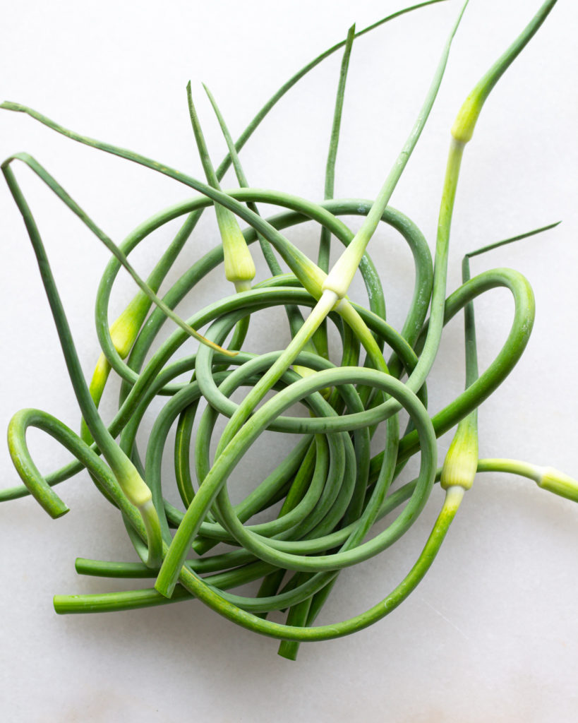 Fresh garlic scapes