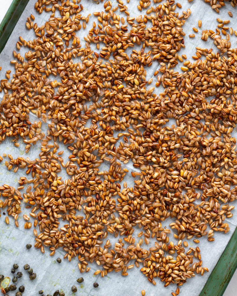 Crispy farro after coming out of the oven