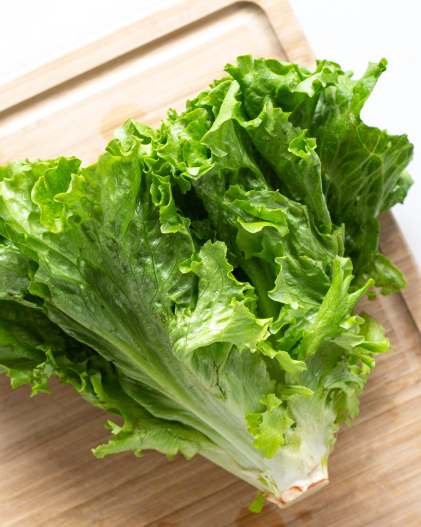 Uncut head of green lettuce