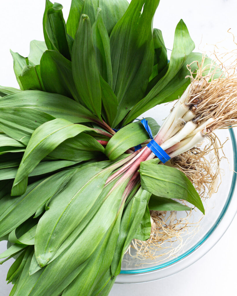fresh ramps in a bowl
