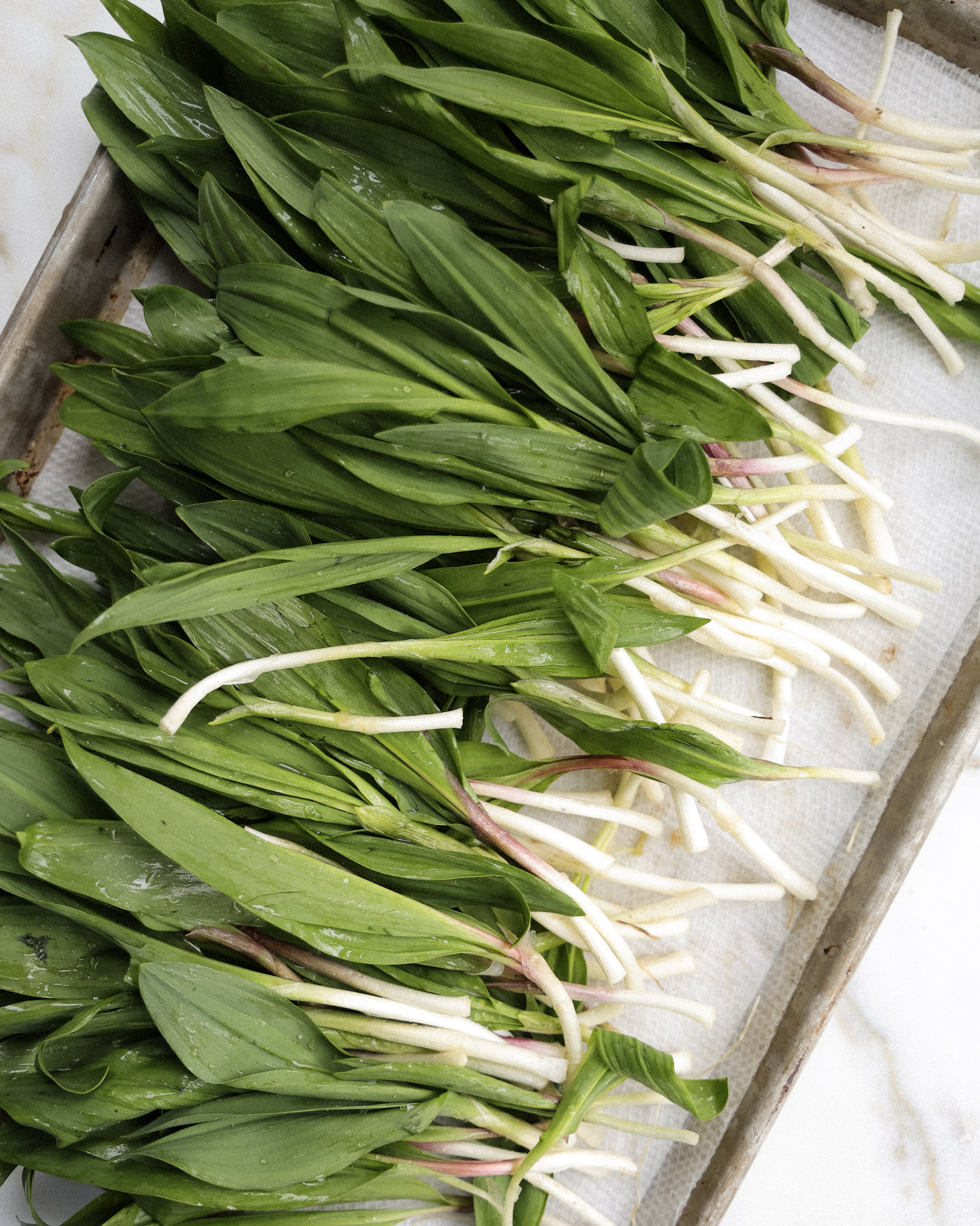 All About Ramps