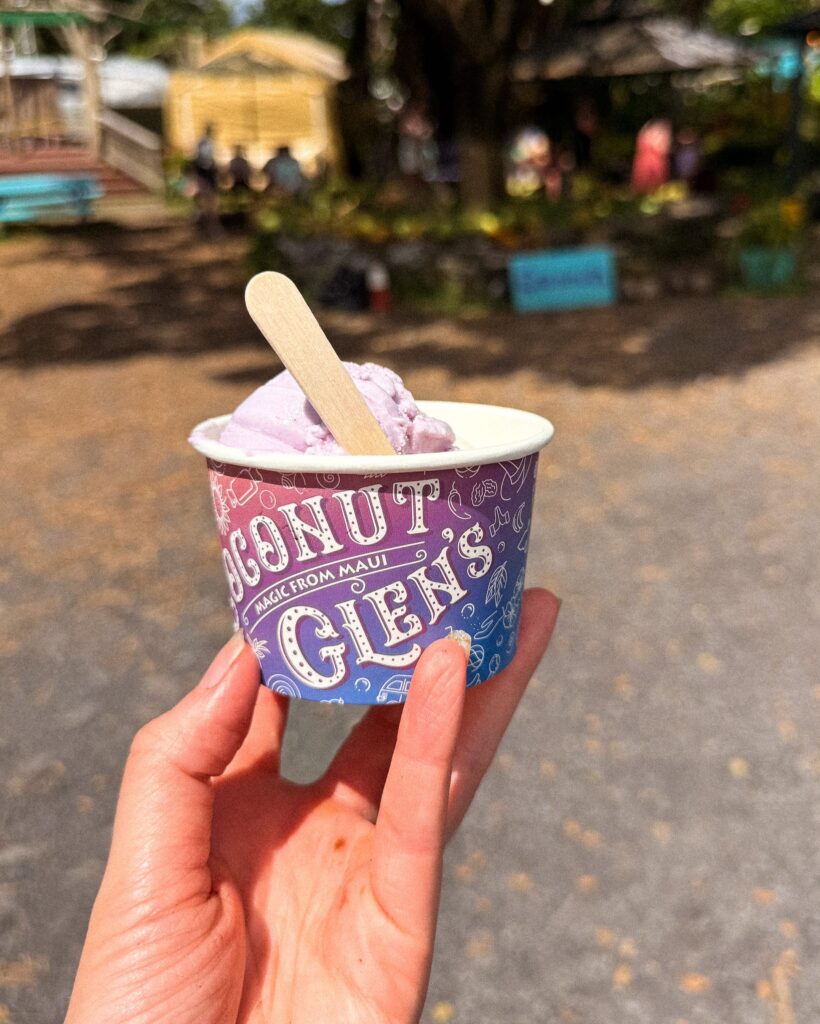 Coconut Glen's ice cream in a cup.