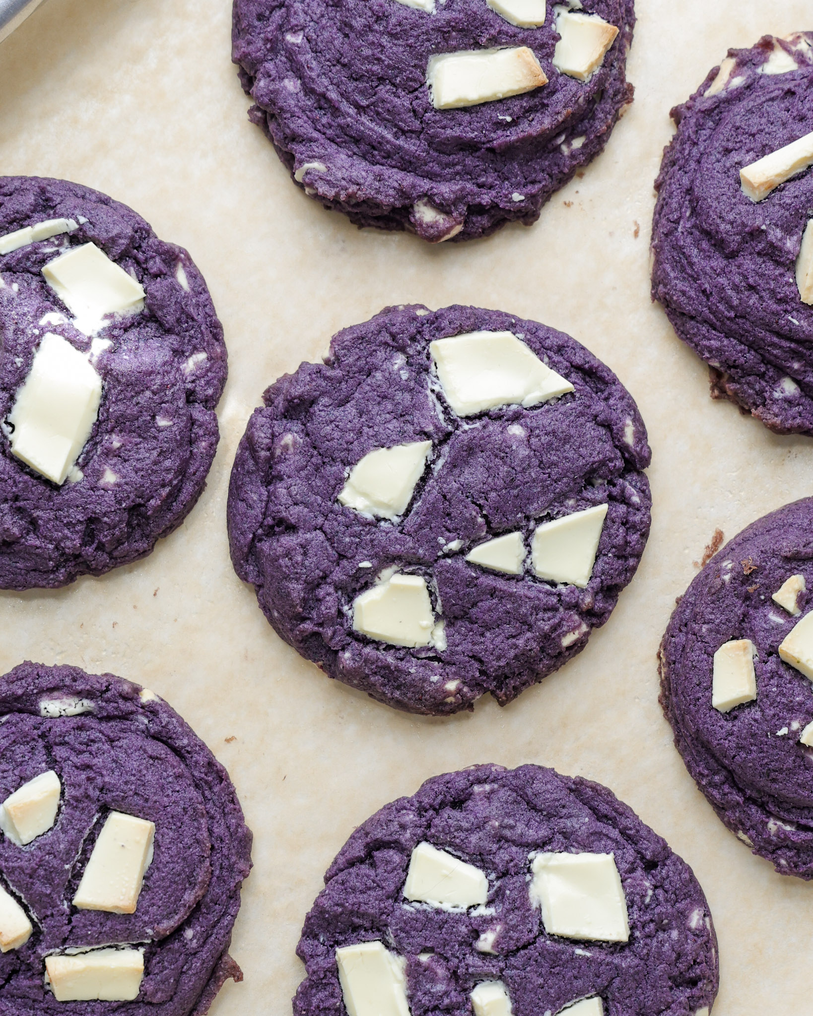 baked bueberry cookies with white chocolate on top.