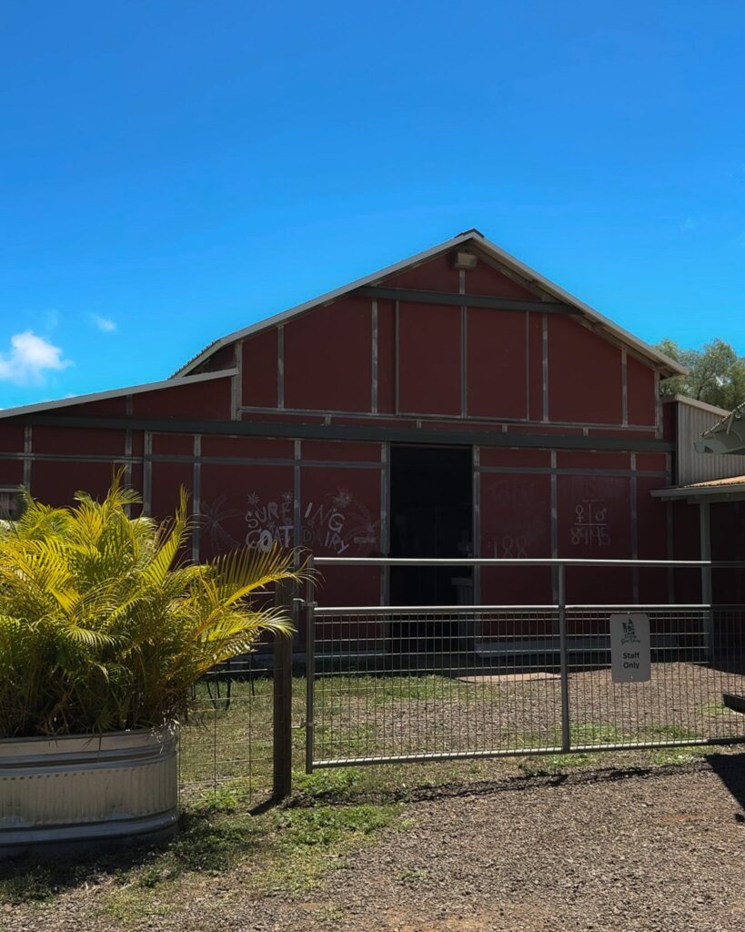 Surfing Goat Dairy Farm barn