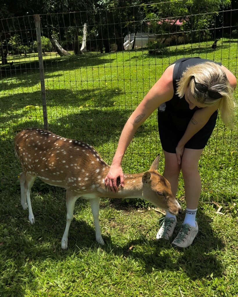Petting deer at Leilani Farm Sanctuary